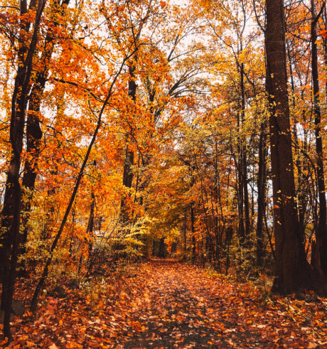 7 Reasons to Escape to the Finger Lakes this Autumn