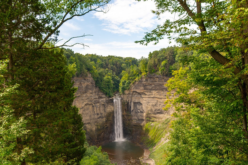 A Delightful Day in Watkins Glen